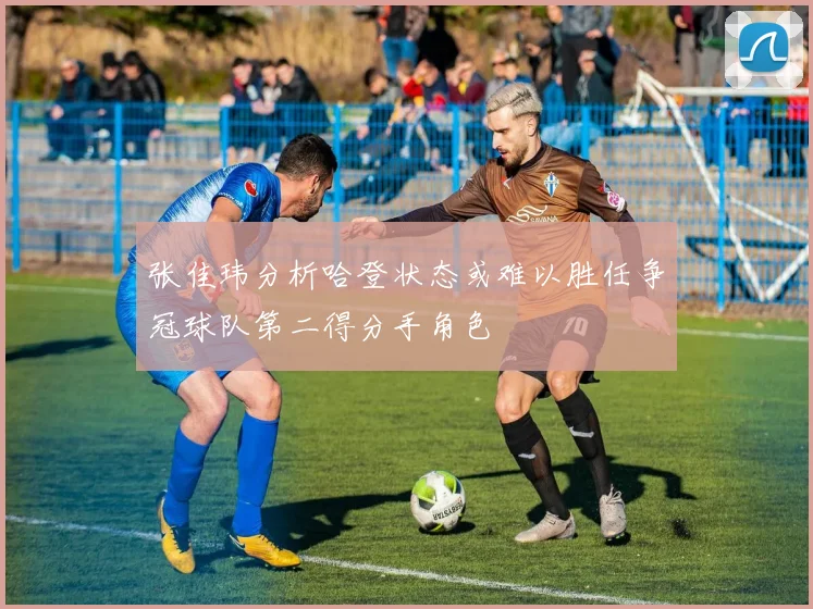 张佳玮分析哈登状态或难以胜任争冠球队第二得分手角色
